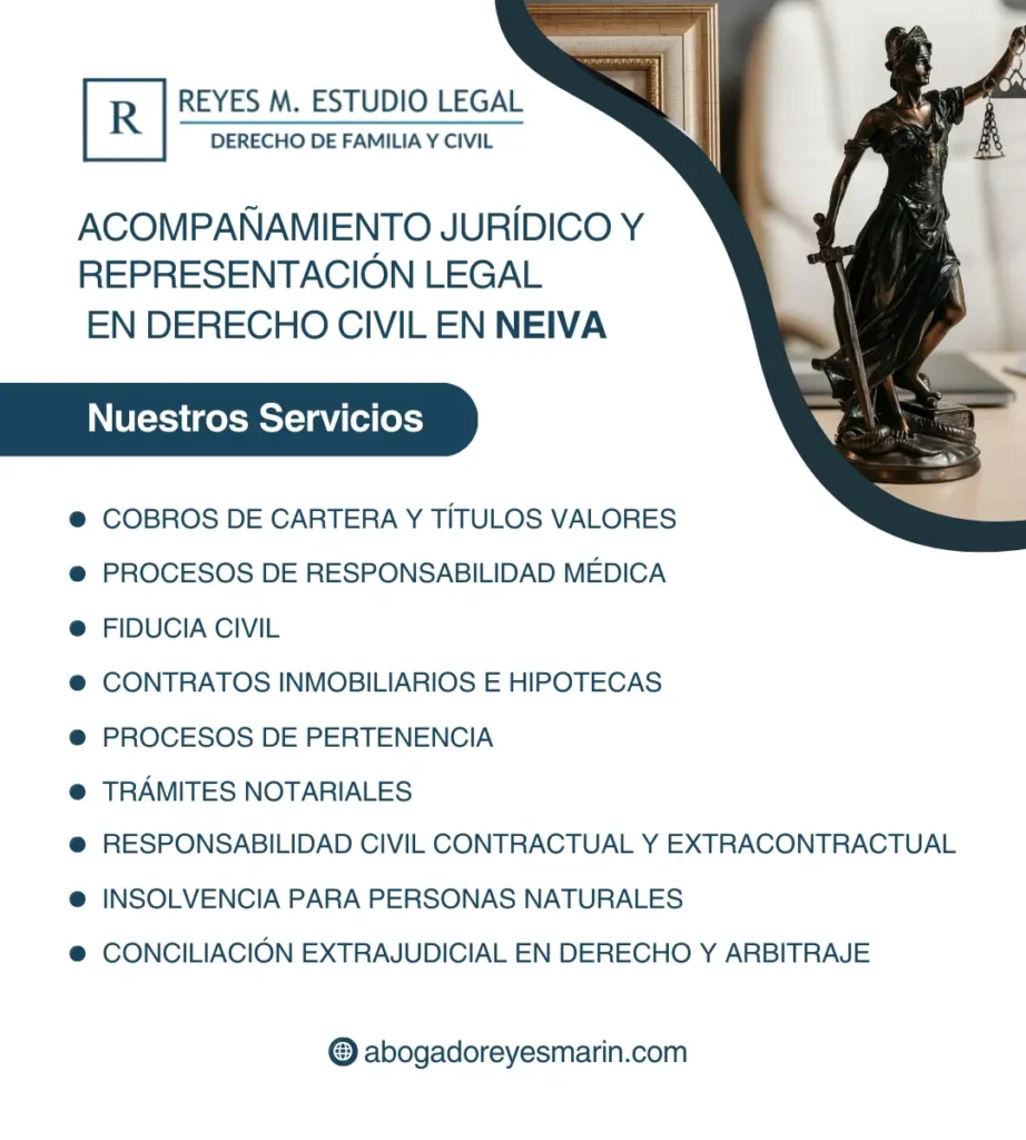 Opciones disponibles en servicios legales civiles Opciones disponibles en servicios legales civiles